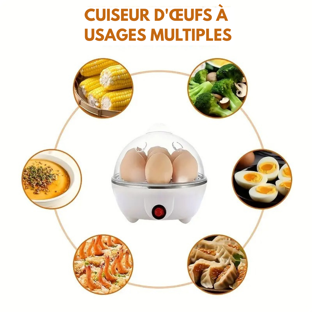 Mini cuiseur à œufs automatique Portable